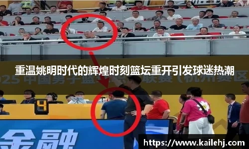 xk体育官网
