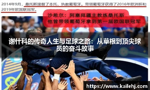 xk体育