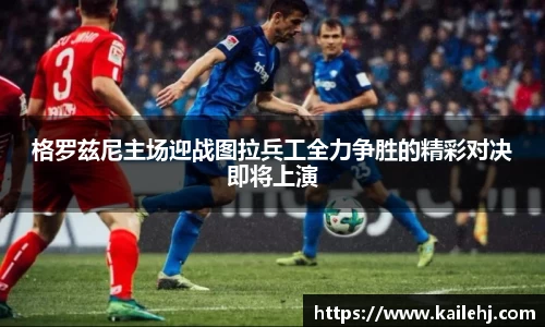 xk体育官网