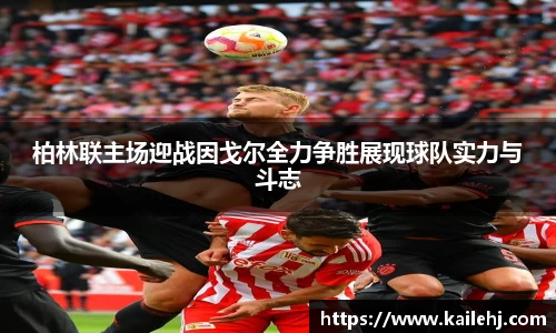 xk体育官网
