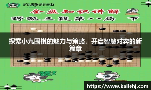 xk体育官网