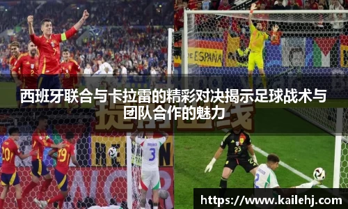 xk体育官网
